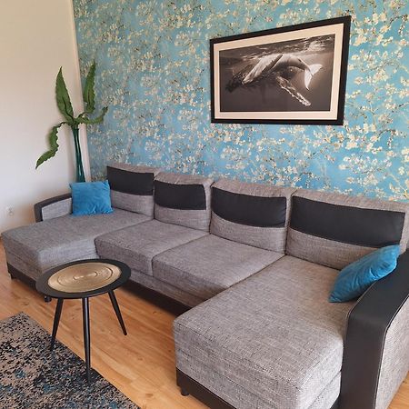 Apartament Galeria Warminska オルシュティン エクステリア 写真